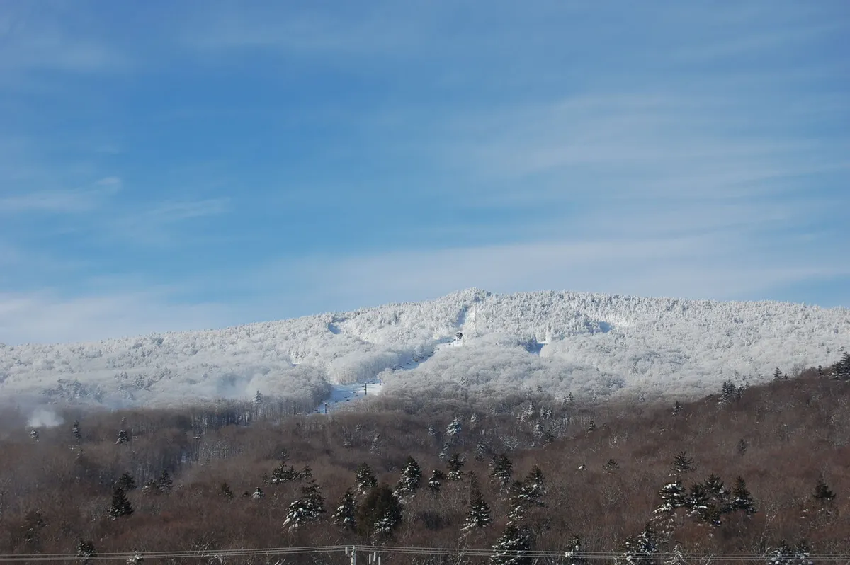 A breathtaking vista of snow-covered mountains framed by evergreen trees beneath a clear blue sky, with traces of ski tracks visible in the powder. This scene perfectly captures the essence of a winter sports destination, evoking both the excitement of skiing and the serene beauty of alpine scenery.